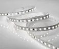 Лента светодиодная  9,6W 120 д/м 12V нейтральный 8мм