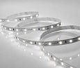 Лента светодиодная  4,8W 60 д/м 12V нейтральный 8мм (5м)