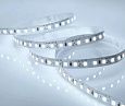 Лента светодиодная  9,6W 120 д/м 12V холодный 8мм